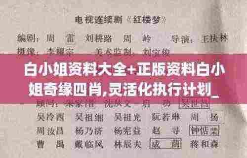 白小姐资料大全+正版资料白小姐奇缘四肖,灵活化执行计划_IMI4.56.73安静版