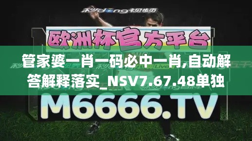 管家婆一肖一码必中一肖,自动解答解释落实_NSV7.67.48单独版