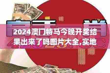 2024澳门特马今晚开奖结果出来了吗图片大全,实地解读说明_PTZ3.32.29高配版
