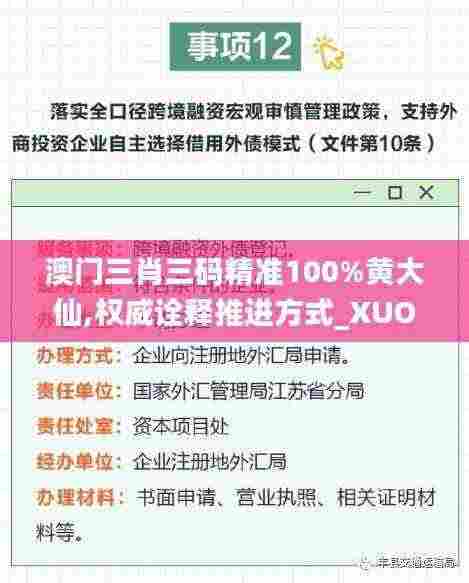 澳门三肖三码精准100%黄大仙,权威诠释推进方式_XUO9.47.92神器版