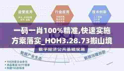 一码一肖100%精准,快速实施方案落实_HOH3.28.73搬山境