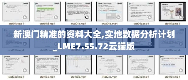 新澳门精准的资料大全,实地数据分析计划_LME7.55.72云端版