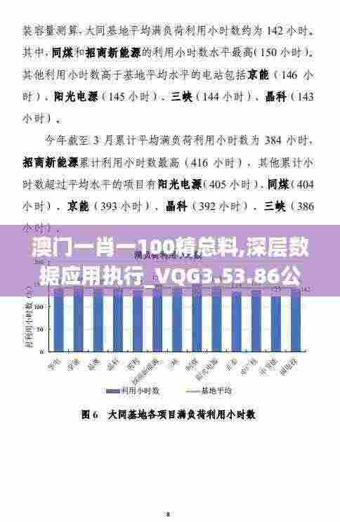 澳门一肖一100精总料,深层数据应用执行_VQG3.53.86公积板