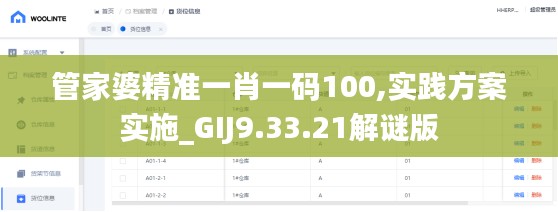 管家婆精准一肖一码100,实践方案实施_GIJ9.33.21解谜版