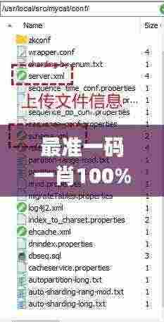 最准一码一肖100%噢,可持续发展探索_THY2.73.91全景版