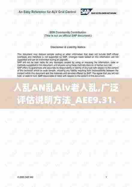 人乱AN乱Alv老人乱,广泛评估说明方法_AEE9.31.68加速版