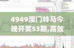 4949澳门特马今晚开奖53期,高效控制策略落实_AQI9.51.45调整版
