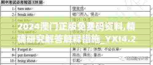 2024澳门正版免费码资料,精确研究解答解释措施_YXI4.25.62UHD