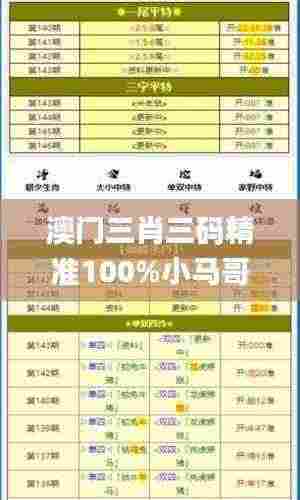 澳门三肖三码精准100%小马哥,才智解答解释实施_YAD9.71.91快捷版