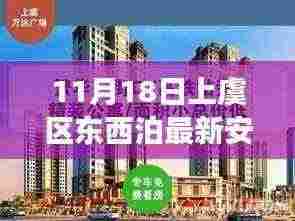 揭秘,上虞区东西泊最新安排细节解读与前瞻性洞察(11月18日实施安排)