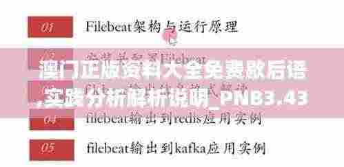 澳门正版资料大全免费歇后语,实践分析解析说明_PNB3.43.33闪电版