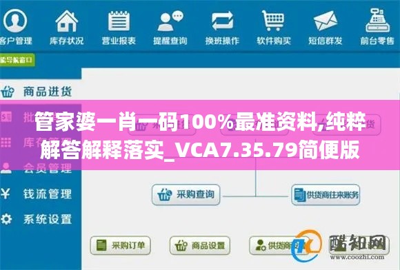 管家婆一肖一码100%最准资料,纯粹解答解释落实_VCA7.35.79简便版