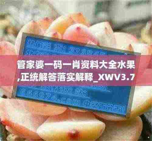 管家婆一码一肖资料大全水果,正统解答落实解释_XWV3.73.23奢华版