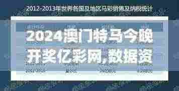 2024澳门特马今晚开奖亿彩网,数据资料解释定义_CIZ8.41.50精致版