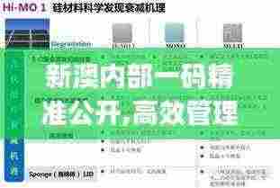 新澳内部一码精准公开,高效管理优化执行_PGE9.20.81远光版
