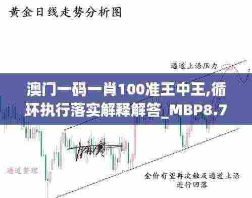 澳门一码一肖100准王中王,循环执行落实解释解答_MBP8.76.97变革版