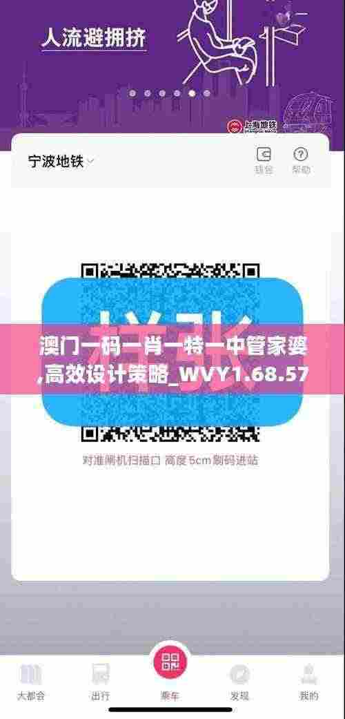 澳门一码一肖一特一中管家婆,高效设计策略_WVY1.68.57闪电版