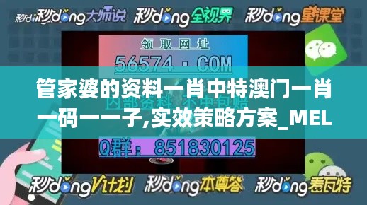 管家婆的资料一肖中特澳门一肖一码一一子,实效策略方案_MEL3.58.81无限版