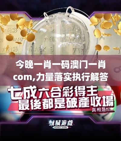 今晚一肖一码澳门一肖com,力量落实执行解答_HZY2.65.30闪电版