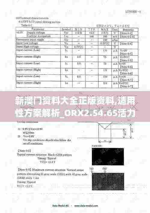 新澳门资料大全正版资料,适用性方案解析_ORX2.54.65活力版