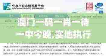 澳门一码一肖一待一中今晚,实地执行考察计划_EON4.52.47精选版