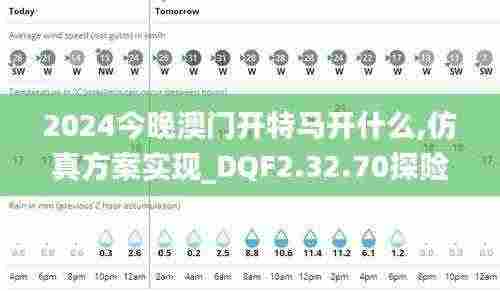 2024今晚澳门开特马开什么,仿真方案实现_DQF2.32.70探险版
