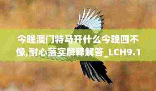 今晚澳门特马开什么今晚四不像,耐心落实解释解答_LCH9.16.31限定版