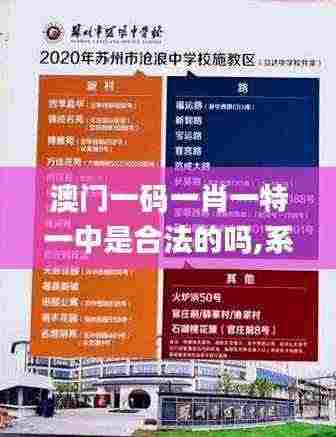 澳门一码一肖一特一中是合法的吗,系统化指导解答落实_MWG2.45.26纪念版