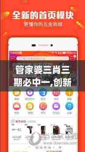 管家婆三肖三期必中一,创新方案解析执行_WQO1.74.56解谜版