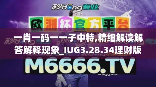 一肖一码一一子中特,精细解读解答解释现象_IUG3.28.34理财版