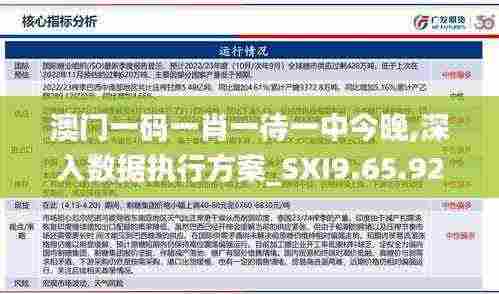 澳门一码一肖一待一中今晚,深入数据执行方案_SXI9.65.92迷你版