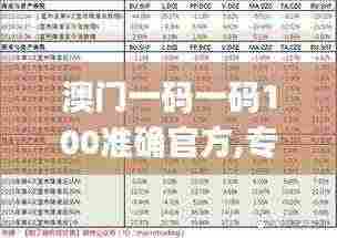 澳门一码一码100准确官方,专家解析解答解释现象_RKV3.20.93私密版