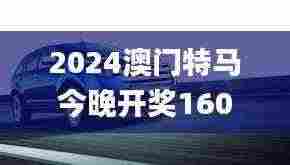 2024澳门特马今晚开奖160期,合理化执行策略_SRX2.53.55炼肉境
