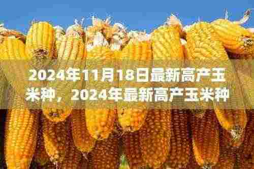 最新高产玉米种探析,种植前景、挑战与策略(2024年最新报告)