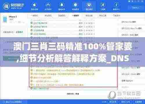 澳门三肖三码精准100%管家婆,细节分析解答解释方案_DNS6.30.37活动版