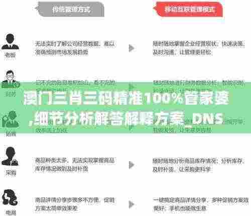 澳门三肖三码精准100%管家婆,细节分析解答解释方案_DNS6.30.37活动版