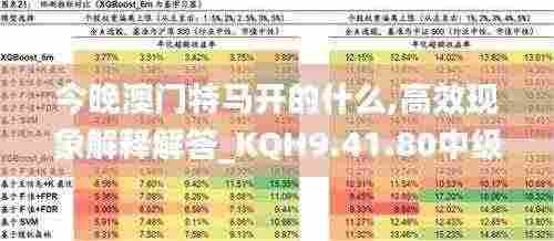 今晚澳门特马开的什么,高效现象解释解答_KQH9.41.80中级版