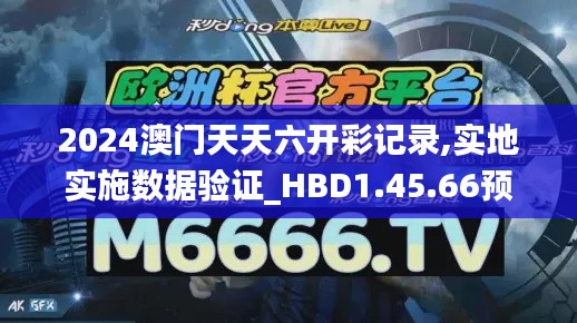 2024澳门天天六开彩记录,实地实施数据验证_HBD1.45.66预备版