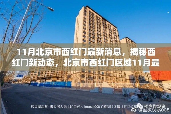 揭秘北京西红门新动态,11月最新消息全面评测