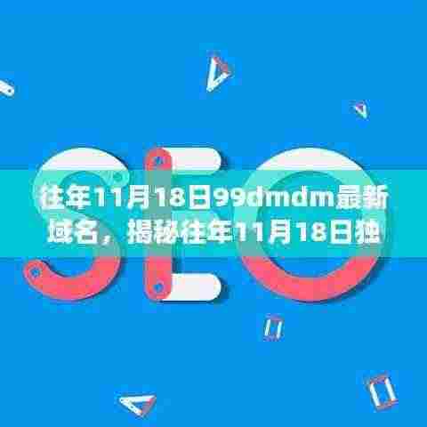 揭秘往年11月18日域名更新现象,SEO新机遇探索与最新域名汇总