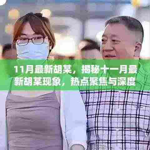 揭秘十一月最新胡某现象,热点聚焦与深度解读