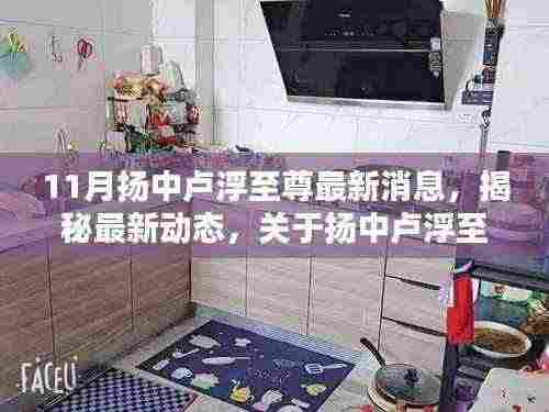 揭秘扬中卢浮至尊最新动态,全方位指南(适合初学者与进阶用户参考)