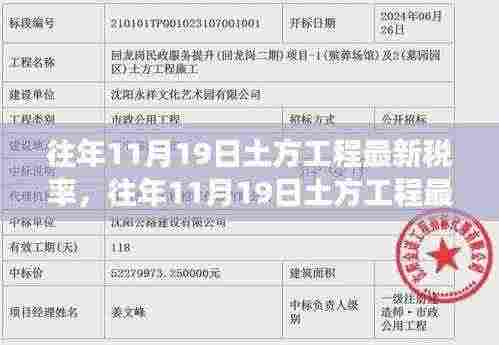 往年11月19日土方工程最新税率深度解析，特性、体验、竞品对比与全面解读报告