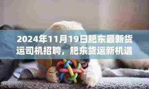 2024年肥东货运司机招聘动态及职业前景展望,新机遇,等你来驾!