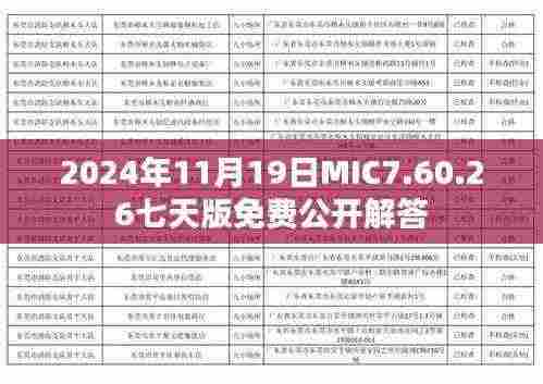 2024年11月19日MIC7.60.26七天版免费公开解答