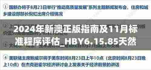 2024年新澳正版指南及11月标准程序评估_HBY6.15.85天然版