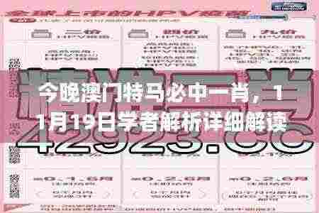 今晚澳门特马必中一肖,11月19日学者解析详细解读_MLU3.29.56四喜版