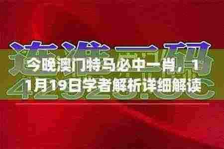 今晚澳门特马必中一肖，11月19日学者解析详细解读_MLU3.29.56四喜版