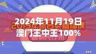 2024年11月19日澳门王中王100%能力提升解析_NMU9.70.74交互式版