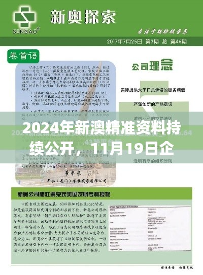 2024年新澳精准资料持续公开,11月19日企业转型解答方案发布_OOD2.80.45动画版